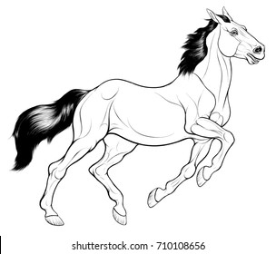Linear illustration of a galloping horse on a white background. Wild running mare with dark mane and tail. Vector clip art and design element for equestrian goods.