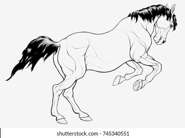 Linear illustration of a galloping steed preparing to jump. Wild running horse with dark mane and ears laid back on a light gray background. Vector clip art and design element for equestrian goods.