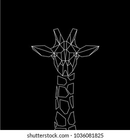 linear illustration -  giraffe. White line vector polygonal wild animals on blackboard. 