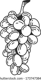 linear illustration of grape vector logo