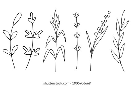 linear illustration of green twigs