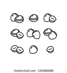 Linear illustration of hazelnut
