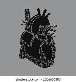 Linear illustration of a heart