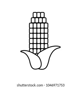 Linear illustration of an icon of corn, beans, cob, vegetarian food, sweet beans, food, yellow corn, seed, nutrition, vegetables on a white background.