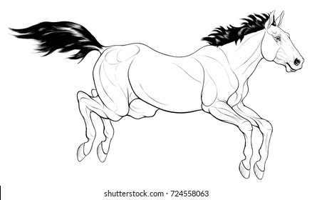 Linear illustration of a leaping steed. Flat jump in a phase of flight. Wild stallion with dark mane overcoming an obstacle. Vector clip art and decoration element of the goods for horse owners.