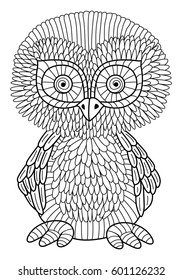 Linear illustration of an owl. Stylized calming natural vector illustration.