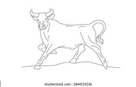 Linear illustration of ox in beautiful pose, line hand drawn graphic sketch, year of ox graphic black line, isolated