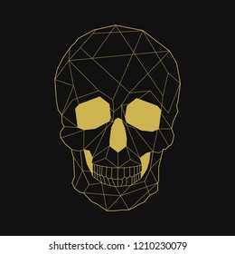 Linear illustration of a skull