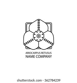 Linear illustration of succulent cactus in pots. Company corporate logo element design. Vector graphic set with cute florals. RIOCARPUS RETUSUS