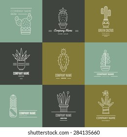 Linear illustration of succulent plants and cactuses in pots. Company corporate logo element design. Vector graphic set with cute florals.
