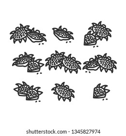 Linear illustration of a sunflower