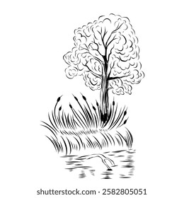 Linear illustration of a tree with reeds and a lake. Vector