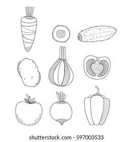 Linear illustration of vegetables. Carrots, cucumber, potatoes, onions isolated on white background for coloring