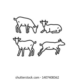 Linear illustrations of a goat