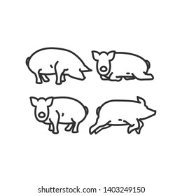 Linear illustrations of a pig
