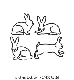 Linear illustrations of a rabbit