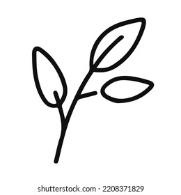 Linear image. Branch with leaves. Plant. Vector