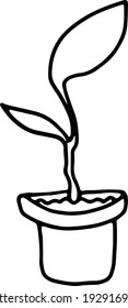 Linear image of isolated houseplant on transparent background
