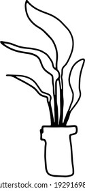 Linear image of isolated houseplant on transparent background