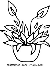 Linear image of isolated houseplant on transparent background