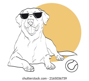 Linear image of a Labrador.