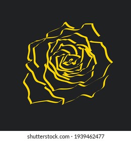 Linear image of a yellow rose on a dark background. Pen sketching of a delicate garden flower.