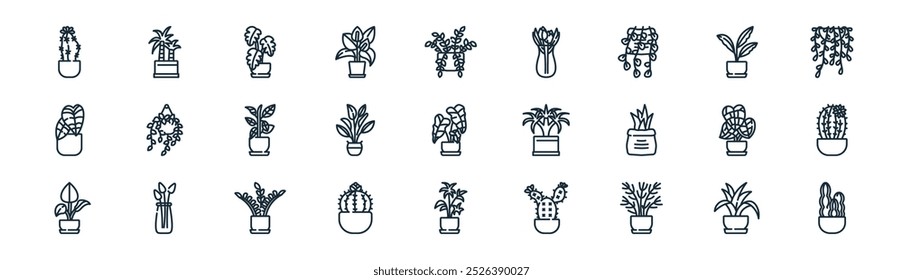 Línea delgada del Vector Sansevieria, palma, monstruo, hierro fundido, hierro fundido, cactus, palma de la señora, columnar azul de los iconos del cactus convenientes para los App y los Sitios web