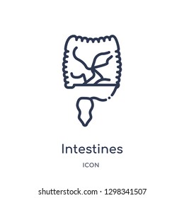 Linear intestines icon from Medical outline collection. Thin line intestines icon isolated on white background. intestines trendy illustration