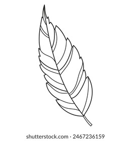 Linear leaf for autumn, spring, summer. Modern linear leaf. Linear nature illustration. Vector drawing. Children's leaf coloring