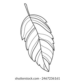 Linear leaf for autumn, spring, summer. Modern linear leaf. Linear nature illustration. Vector drawing. Children's leaf coloring
