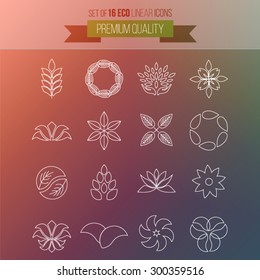 Linear leaves collection, outline, linear, line ecological vector icons set on blurry background.