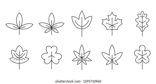 Linear leaves icons. Set of Leaves in thin line style. Outline leaves isolated. Vector illustration.