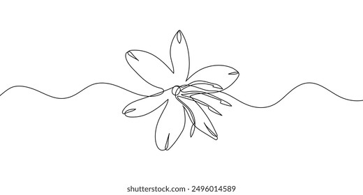 Linear lily on white background. Modern backdrop. Continuous line drawing vector illustration. Anthericum liliago flower