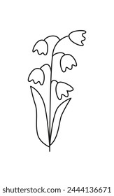 Linear lily of the valley isolated on white. Linear spring flower. Botanical drawing. Great for greeting cards, backgrounds, tattoo. Woman's day, mother's day, wedding. Line art. Coloring book.