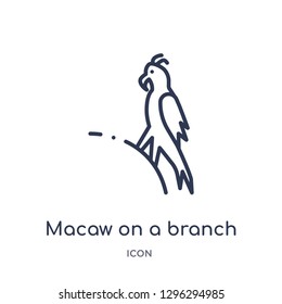 Linear macaw on a branch icon from Culture outline collection. Thin line macaw on a branch icon vector isolated on white background. macaw on a branch trendy illustration