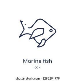 Linear marine fish icon from Culture outline collection. Thin line marine fish icon vector isolated on white background. marine fish trendy illustration