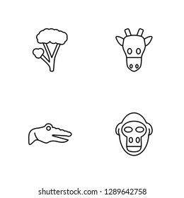 Linear Marula, Crocodile, Giraffe, Gorilla Vector Illustration Of 4 outline Icons. Editable Pack Of Marula, Crocodile, Giraffe, Gorilla