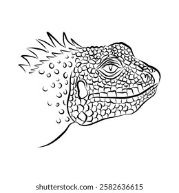 Linear minimalistic drawing of a lizard head. Vector illustration