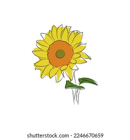 Linear minimalistic sunflower with added color. Yellow sunflower. Solar flower. Field.