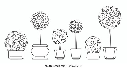 Linear monochrome vector illustration. Set of six plants in pots isolated on white background. Small trees and shrubs.