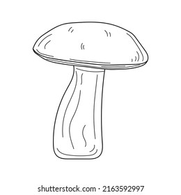 Linear Mushroom illustration. Hand drawn Mushrooms,  detailed art. Black and white clipart isolated on white background. Vintage illustration.