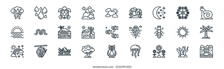 linear nature icon pack. vector thin line seaweed, water, turtle, snowflake, desert, coconut tree, owl, waterfall icons suitable for apps and websites ui designs