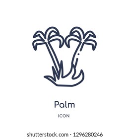 Linear palm icon from Desert outline collection. Thin line palm icon vector isolated on white background. palm trendy illustration