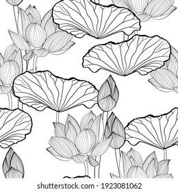 Linear pattern - lotus flower. Lotus flowers pattern. Monotone with drawing line art. Tropical line art background.