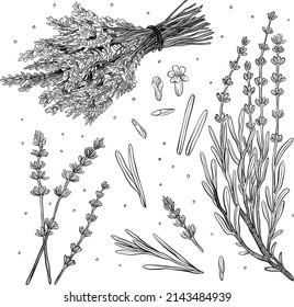 linear pattern silhouette lavender flowers and twig separate bunch bouquet