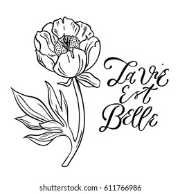 linear peony floral illustration with hand drawn lettering quot "la vie est belle"