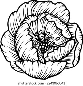 Lineare Birnenblume. Handgezeichnete Illustration. Diese Kunst eignet sich hervorragend für Einladungskarten, Frühjahr- und Sommerdekor, Grußkarten, Poster, Scrapbooking, Print etc.