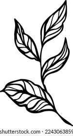 Linear peony flower. Hand drawn illustration. This art is perfect for invitation cards, spring and summer decor, greeting cards, posters, scrapbooking, print, etc.