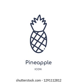Linear pineapple icon from Brazilia outline collection. Thin line pineapple vector isolated on white background. pineapple trendy illustration