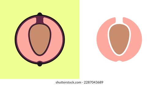 Linear plum icon, outline vector icon, linear icon, two color options